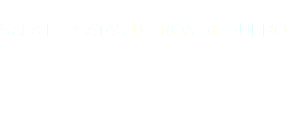  SALA DE CATAS DE ROA DE DUERO 