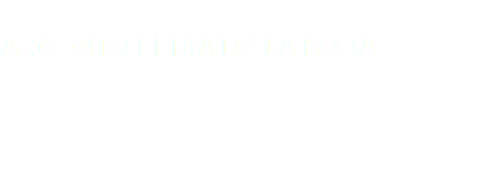  ARGENTO FERIA DE LA BODA 